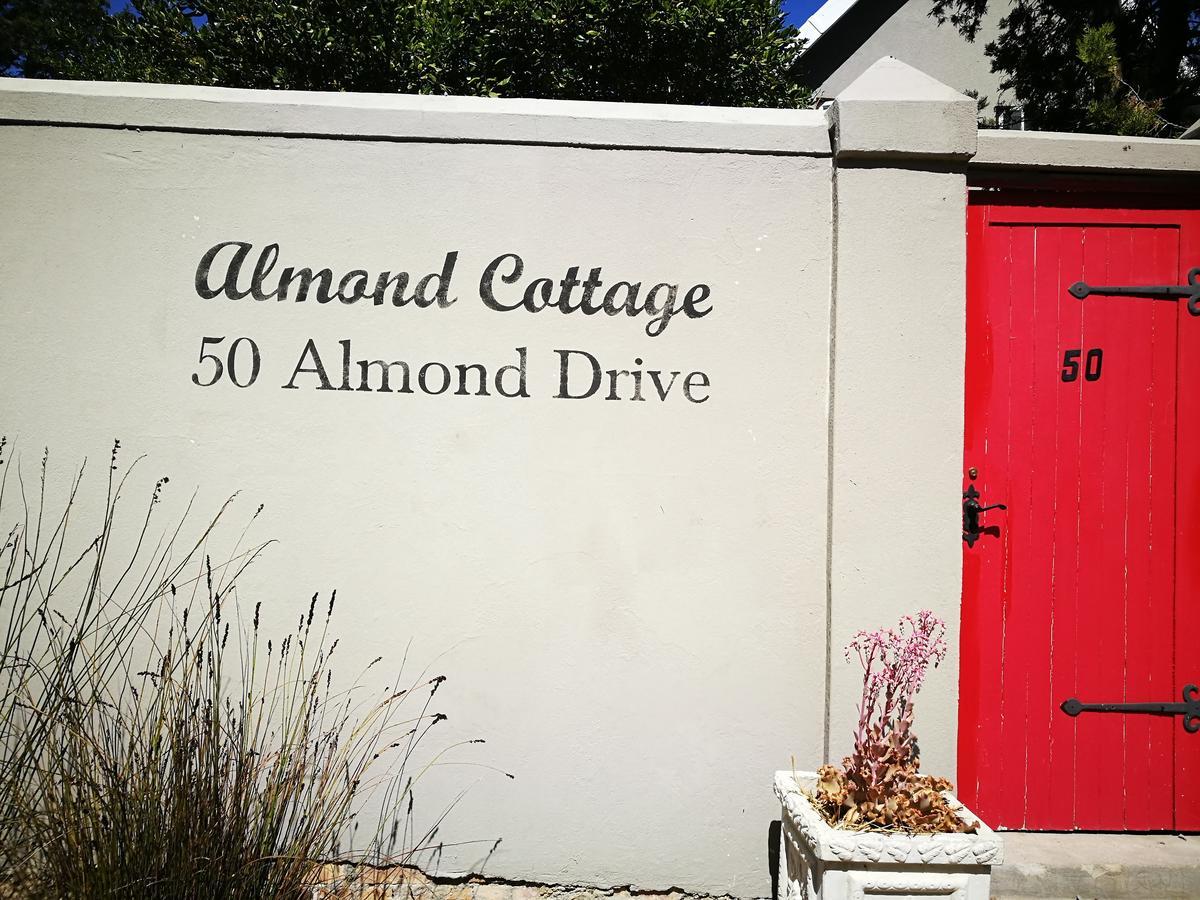 סומרסט ווסט Almond Cottage Bed & Breakfast מראה חיצוני תמונה