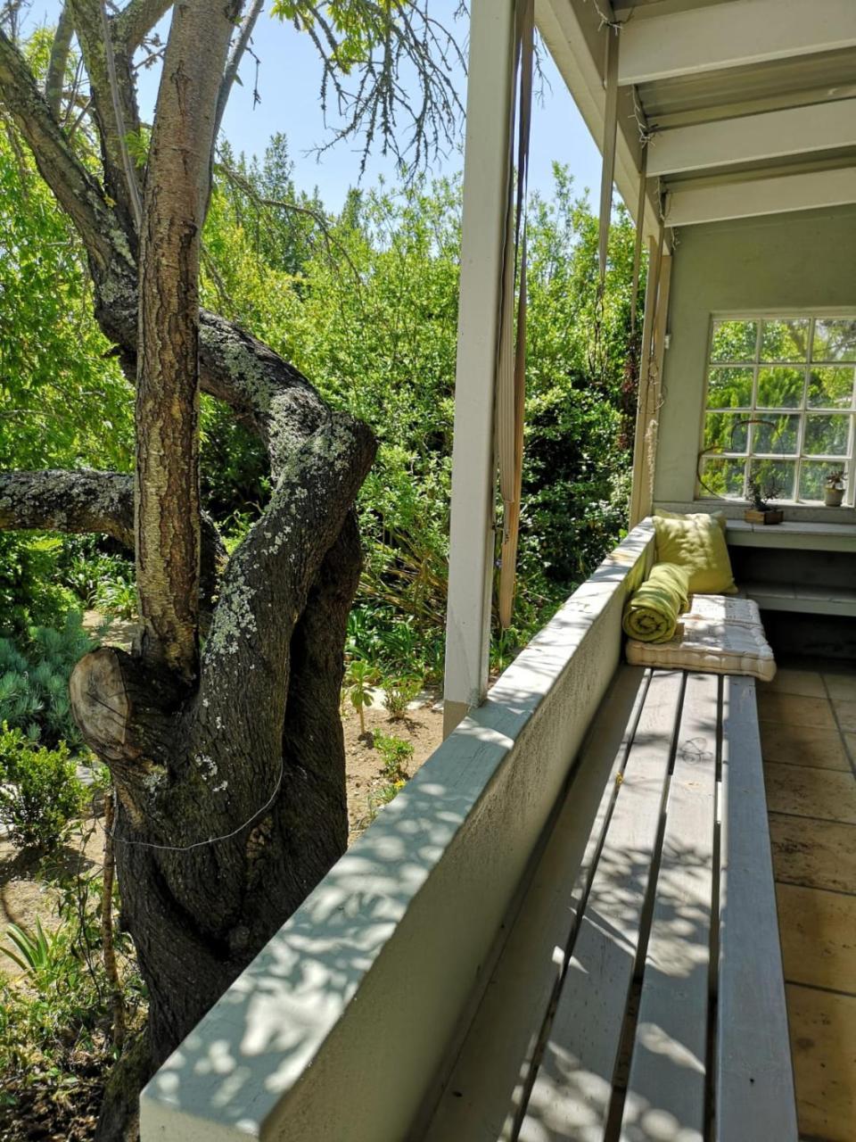 סומרסט ווסט Almond Cottage Bed & Breakfast מראה חיצוני תמונה
